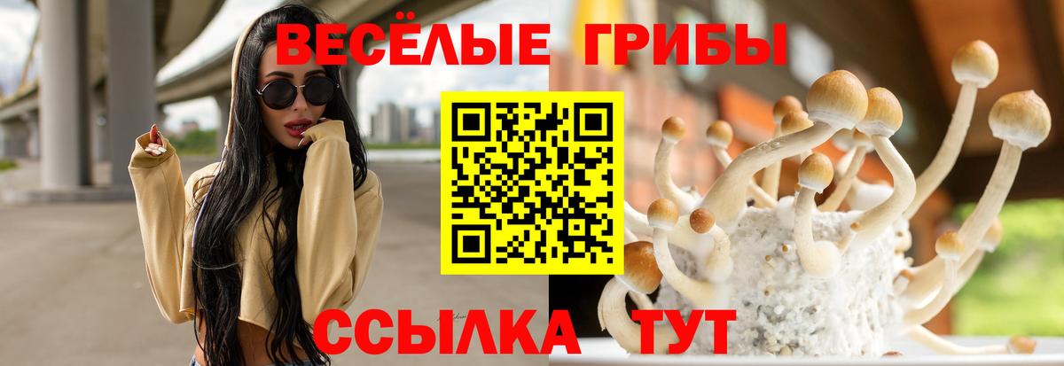 Элиста  Псилоцибиновые грибы Psilocybine cubensis  Вход с VPN 